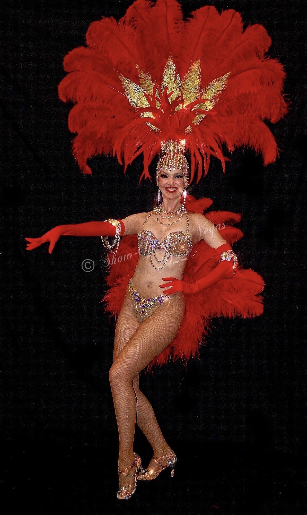 About Las Vegas styles showgirls-Answers to your questions about showgirls,  dancers, and costumed characters. - Exquisitely costumed performers for  parties and events. Screaming QueensExquisitely costumed performers for  parties and events.